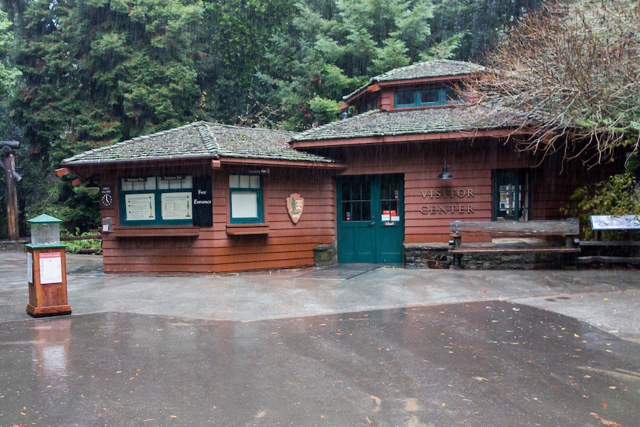 The Muir Woods Visitor Center and Plaza on a drizzly day.