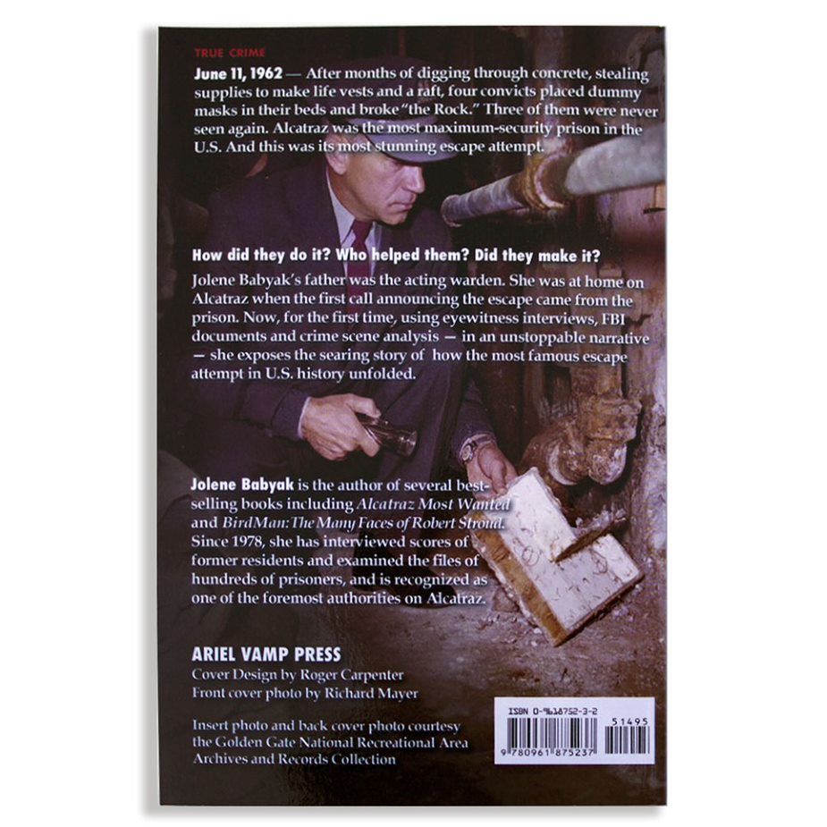 Back cover of book Breaking the Rock by author Jolene Babyak