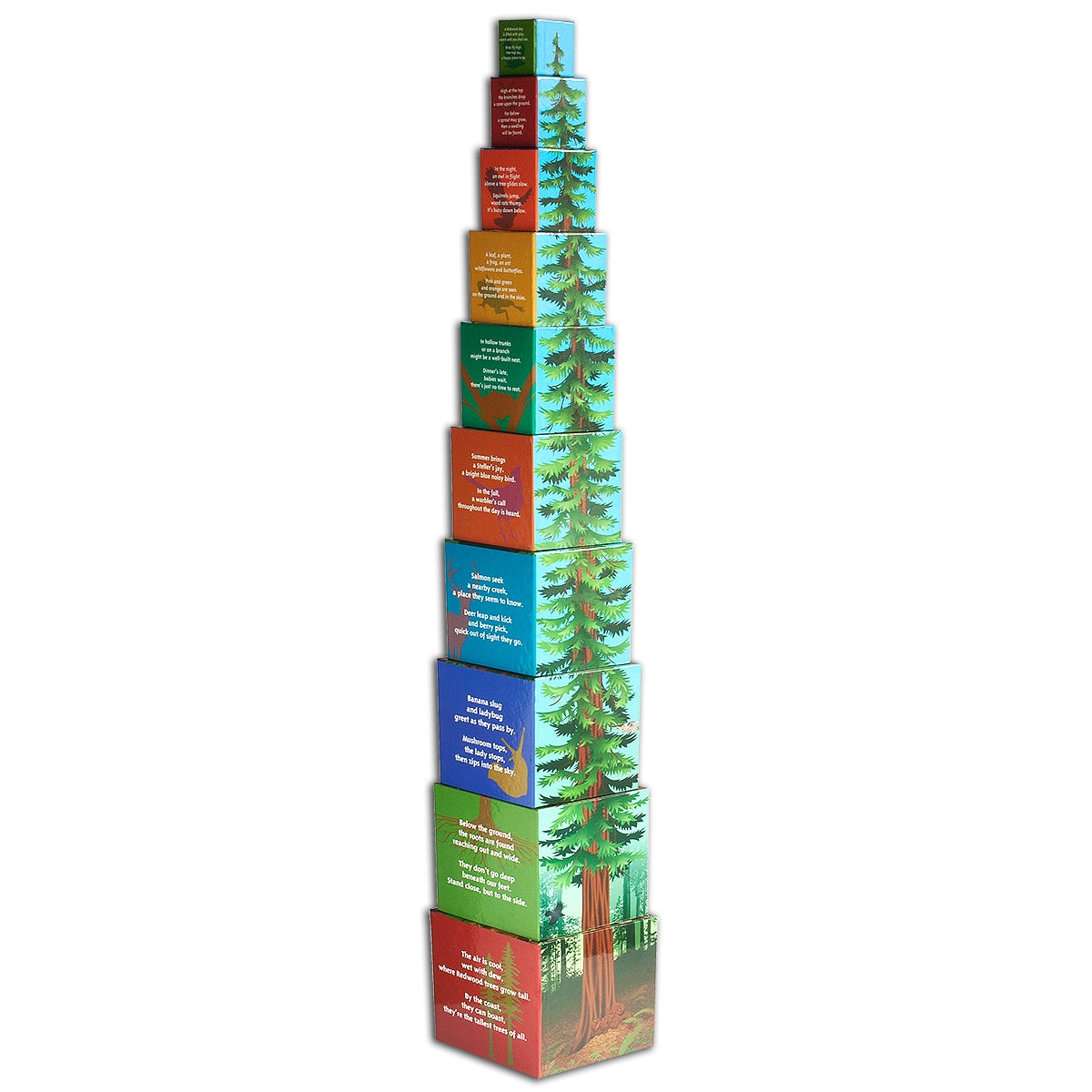 Multicolor Tallest Tree stacking blocks, with illustrations of California redwood forest plants and animals.