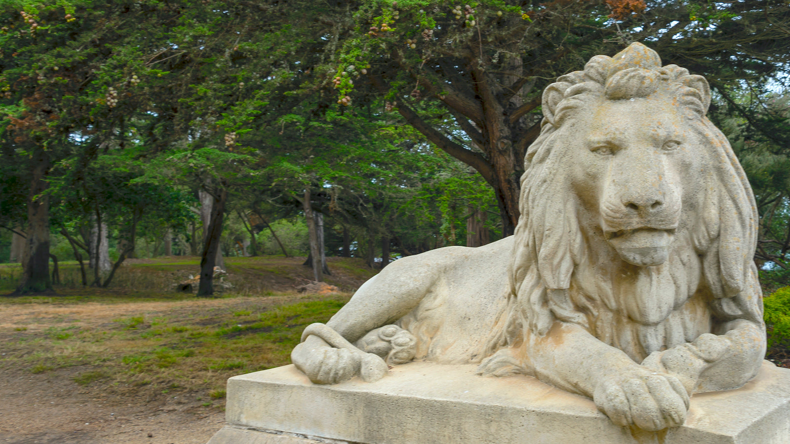 Lion statue at the entrance to Sutro Heights in San Francisco.