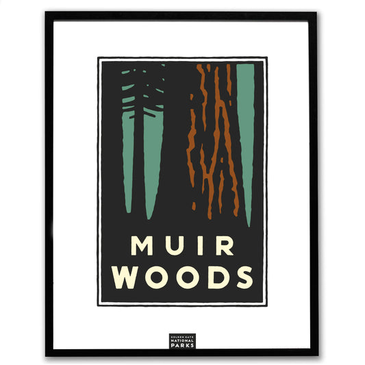 Muir Woods giclee poster in black frame, art by Michael Schwab, the Golden Gate National Parks Conservancy
