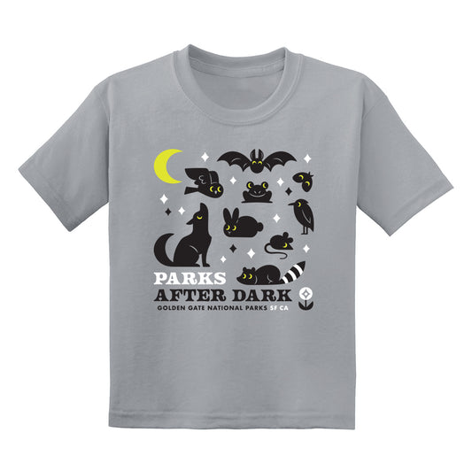 Parks After Dark kids t-shirt, black and white screen-print design on gray tee, with glow-in-the-dark yellow accents.