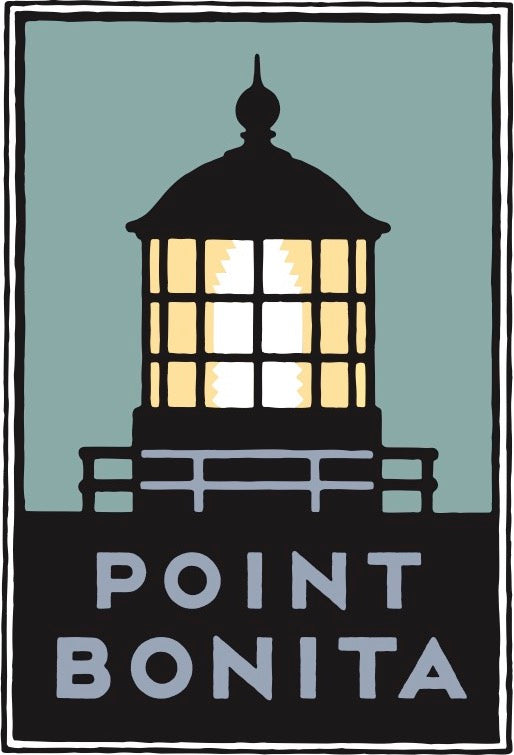 Point Bonita artwork by Michael Schwab