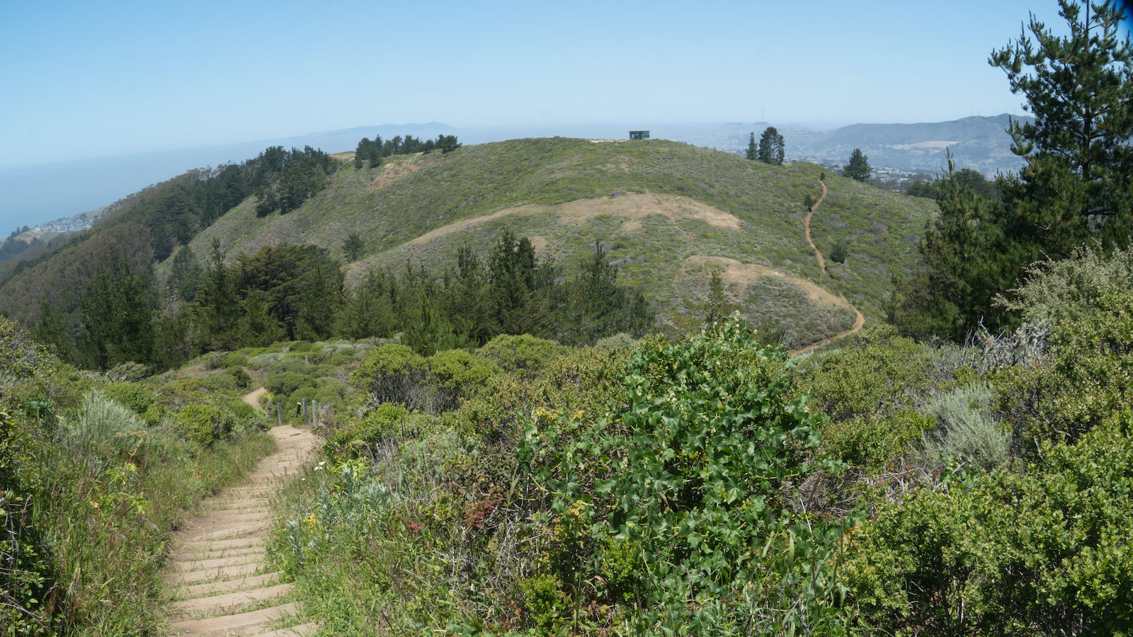 A trail cuts across a grassy hilltop at San Francisco's Sweeney Ridge.