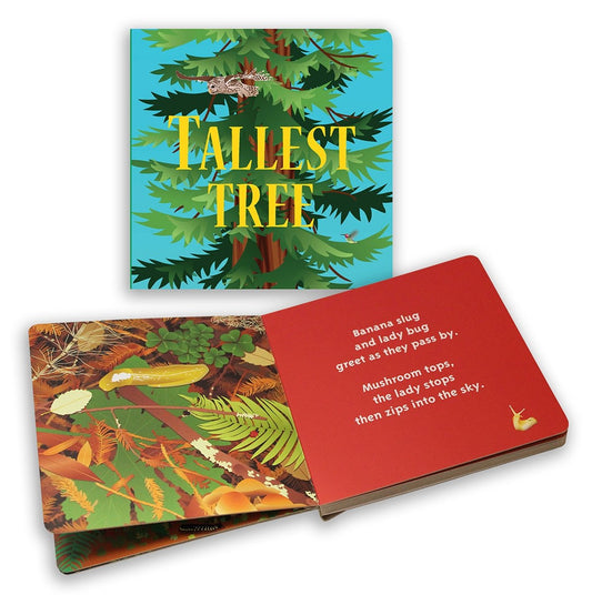 Tallest Tree board book with poem by Robert Lieber, story of California redwood forests.