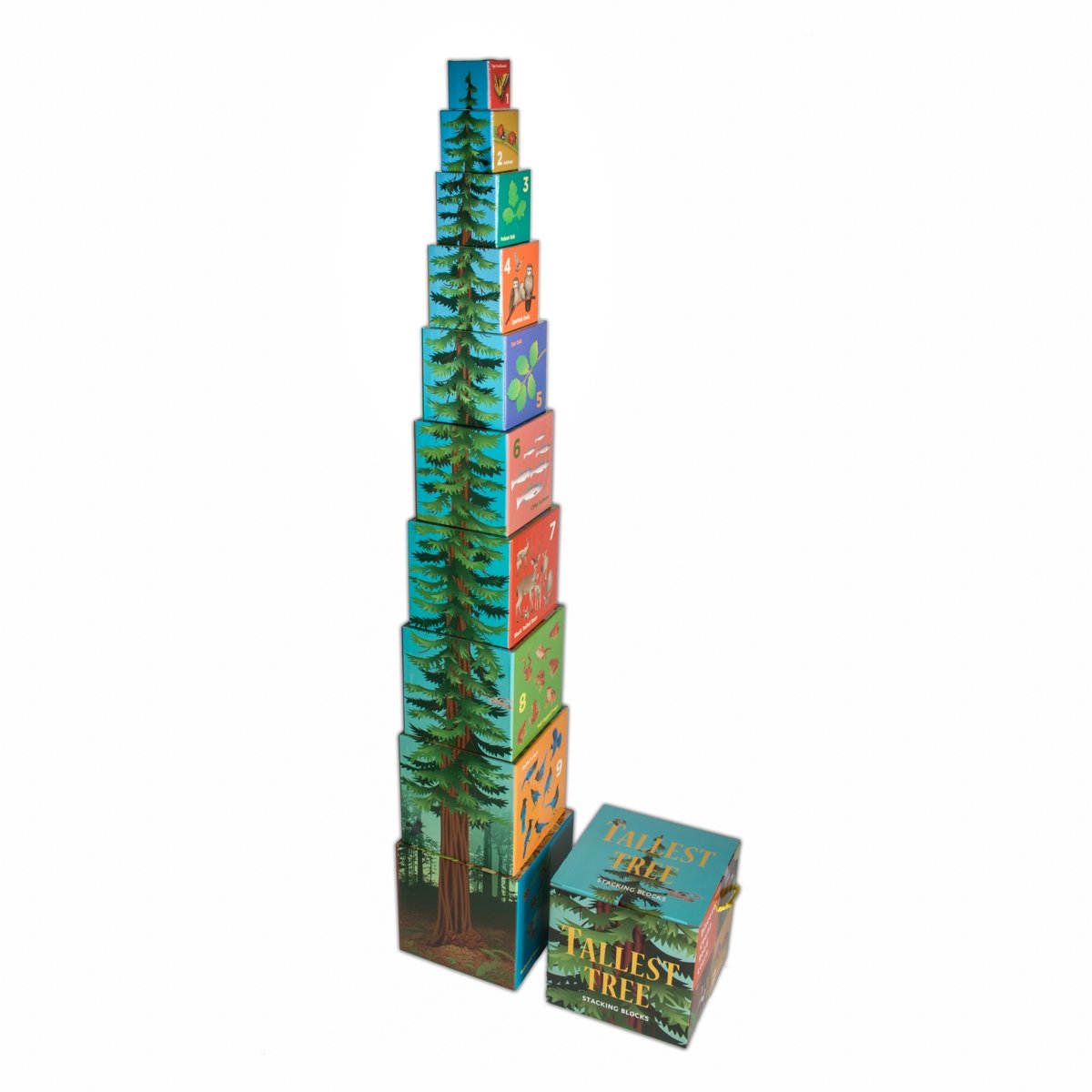 Multicolor Tallest Tree stacking blocks, with illustrations of California redwood forest plants and animals.