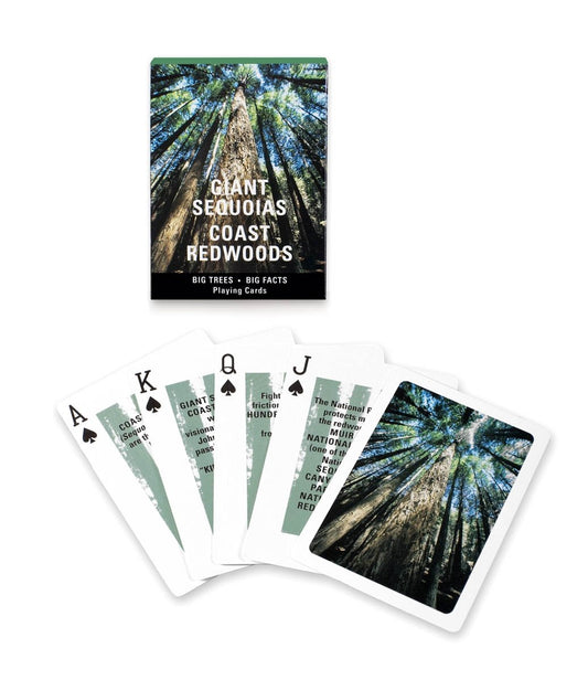 Giant Sequoias and Coast Redwoods souvenir playing cards, featuring fun facts about California's remarkable forests.