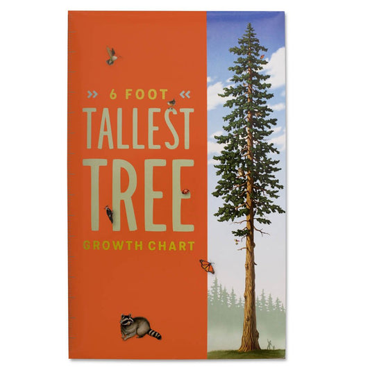 6-foot tall Tallest Tree growth chart, with colorful illustrations of California redwood forest plants and animals.