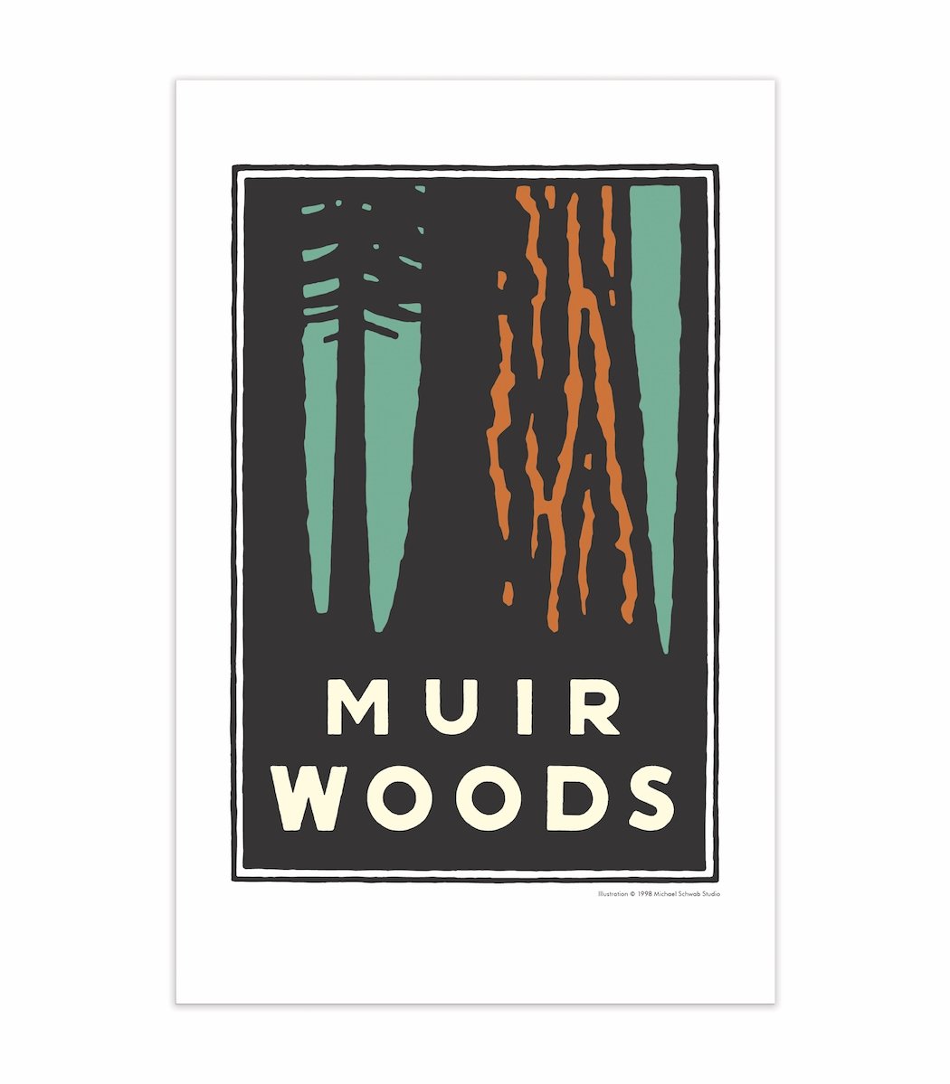 11 x 17 inch Muir Woods print, art by Michael Schwab.