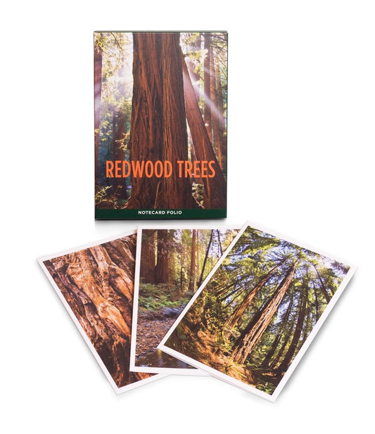 Muir Woods Redwood Trees notecard folio, set of 10 notecards with envelopes. Photographs by Stephen Joseph.
