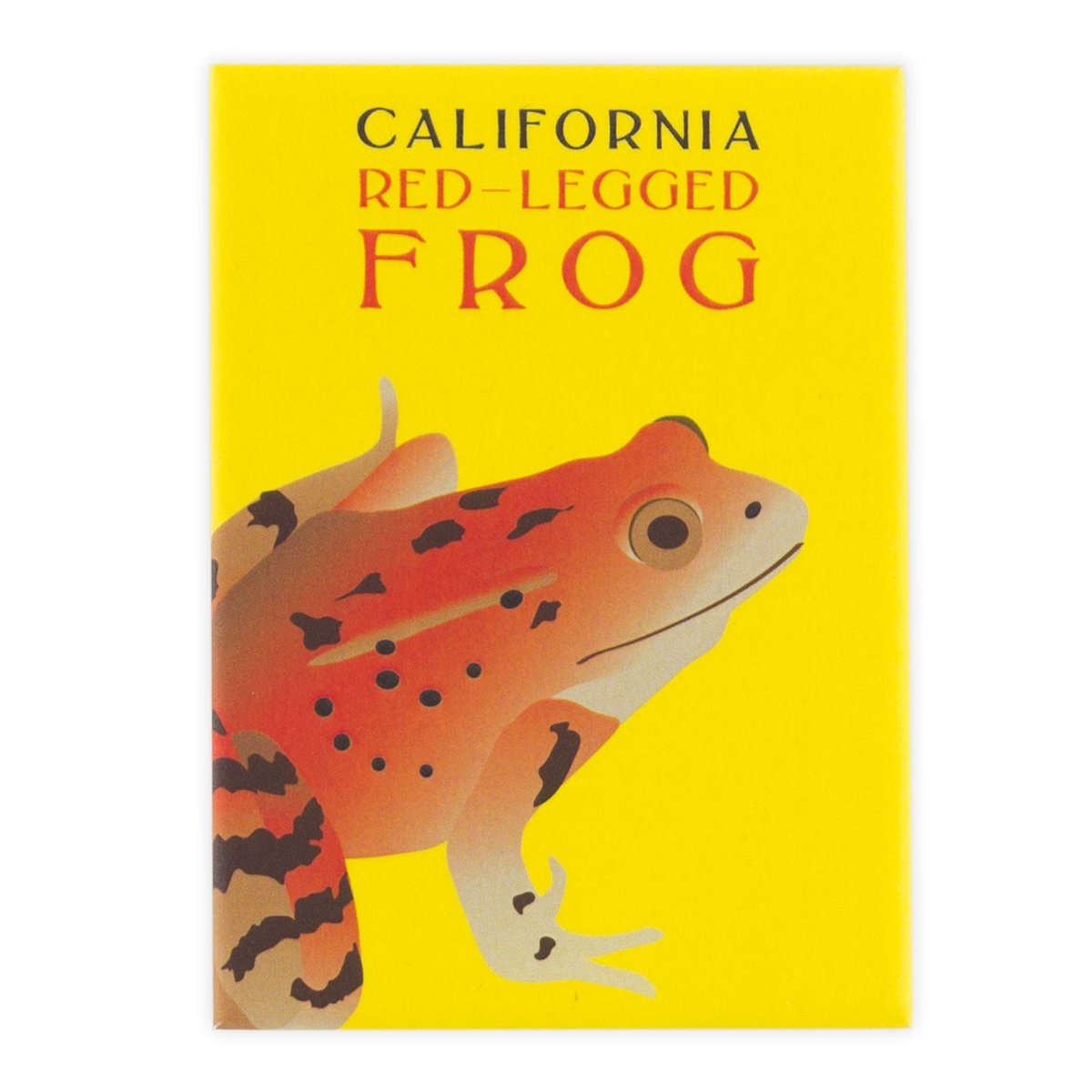 Colorful California red-legged frog magnet, featuring illustration of California's state amphibian Rana draytonii.
